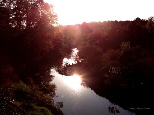 A serene river reflects sunlight, surrounded by lush trees and greenery, creating a tranquil natural scene.