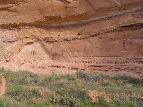 Rocky canyon wall featuring ancient petroglyphs, with green vegetation in the foreground and a sandy path.