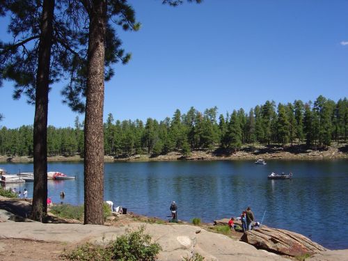 A serene lake surrounded by trees, with people fishing and boating under a clear blue sky.
