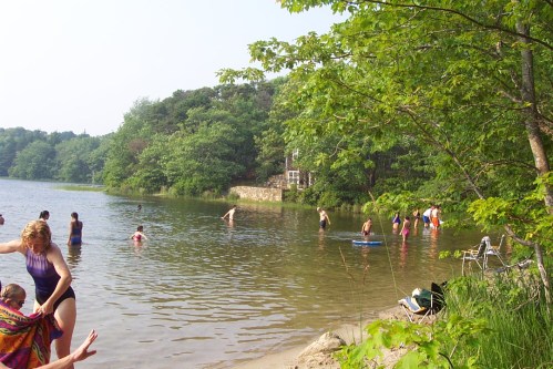 People swimming and playing in a lake surrounded by trees, with some sitting on the shore and others in the water.