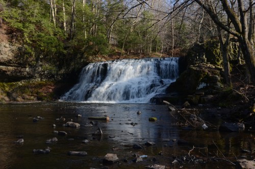 A serene waterfall cascades over rocks into a calm pool, surrounded by trees and a peaceful natural setting.