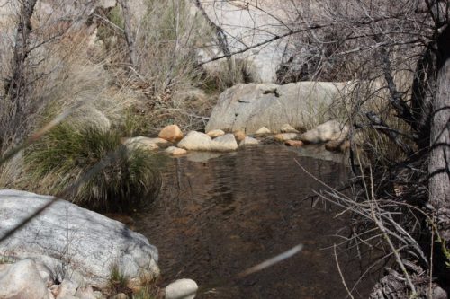 A serene pond surrounded by rocks and dry vegetation, reflecting the natural landscape.