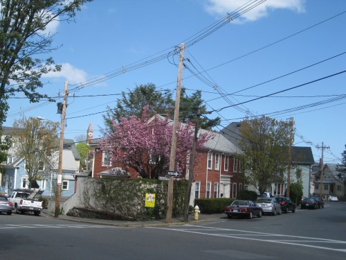 A street corner with houses, blooming trees, and power lines under a blue sky with scattered clouds.