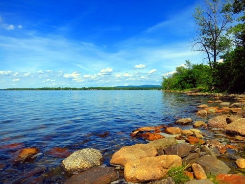 A serene lakeside view with clear blue water, rocky shore, and lush greenery under a bright blue sky with fluffy clouds.