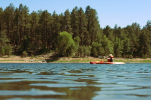 A person kayaking on a calm lake surrounded by trees under a clear blue sky.