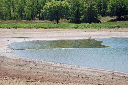 A serene landscape featuring a small body of water bordered by sandy shore and lush green trees in the background.