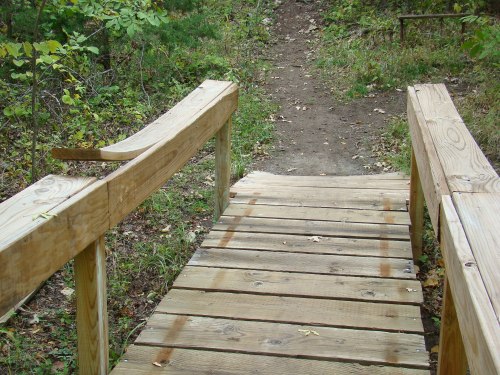 A wooden bridge over a dirt path, surrounded by greenery and trees.