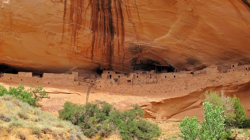 Ancient cliff dwellings nestled under a large rock overhang, surrounded by desert vegetation.