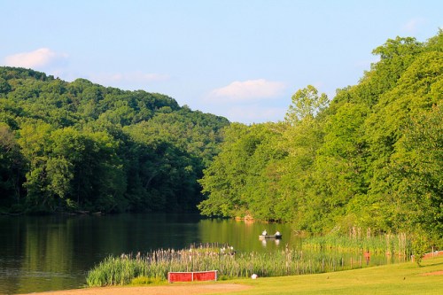 A serene lake surrounded by lush green trees and hills, with a grassy shore and a few people in a small boat.