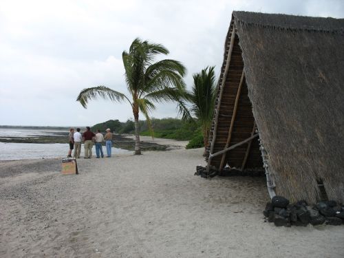 A sandy beach with a thatched hut and palm trees, featuring a group of people walking along the shore.