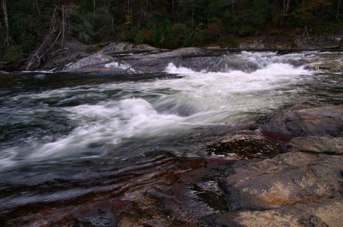 A flowing river with white water rapids over rocky terrain, surrounded by lush greenery and trees.