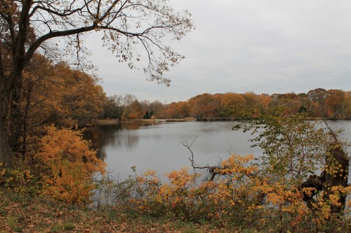 A serene lake surrounded by trees with autumn foliage, under a cloudy sky.