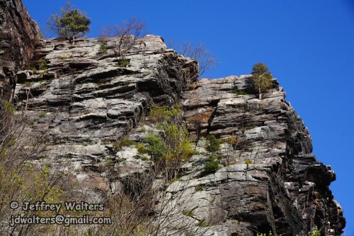 Rocky cliffside with sparse vegetation against a clear blue sky.