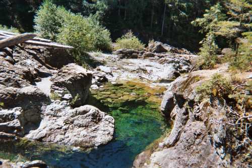 A serene natural landscape featuring a clear stream surrounded by rocks and lush greenery.