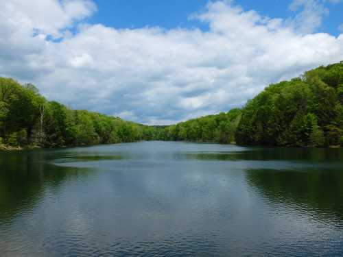 A serene lake surrounded by lush green trees under a partly cloudy sky.