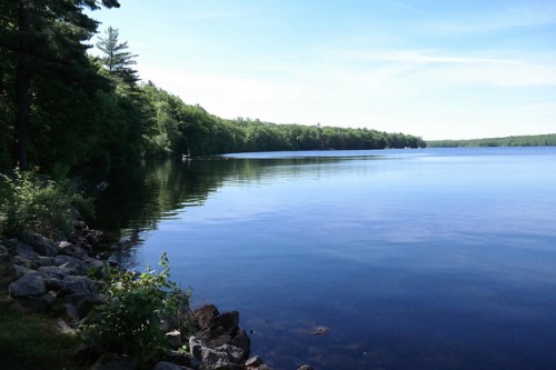 A serene lake surrounded by lush greenery and rocky shoreline under a clear blue sky.