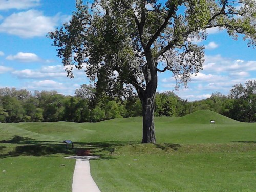 A scenic view of a grassy landscape with a large tree, blue sky, and fluffy clouds in the background.