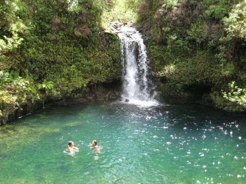 Two people swim in a serene pool beneath a lush waterfall surrounded by greenery.