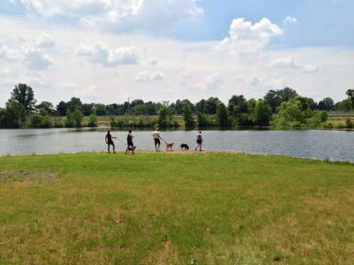 A group of people walks along a grassy shore by a calm lake on a sunny day, with trees in the background.