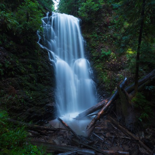 A serene waterfall cascades down rocky cliffs, surrounded by lush green foliage and fallen logs.