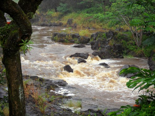 A flowing river with rocky banks, surrounded by lush greenery and trees, under a cloudy sky.