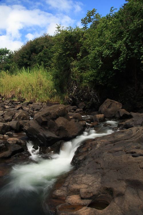 A serene stream flows over rocks, surrounded by lush greenery and a blue sky with scattered clouds.
