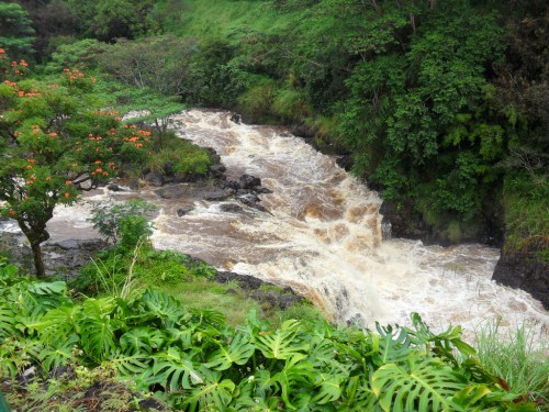 A rushing river flows through lush greenery, surrounded by trees and vibrant orange flowers.