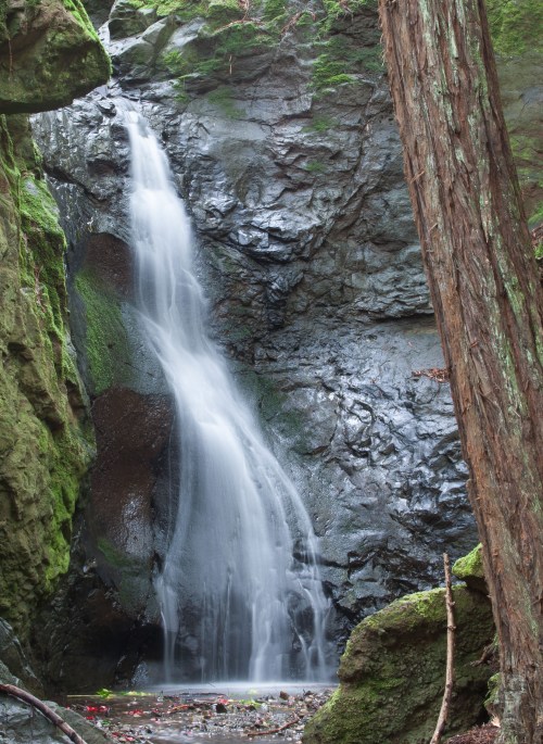 A serene waterfall cascades down moss-covered rocks in a lush, green forest.