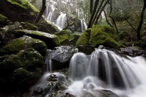 A serene forest scene featuring cascading waterfalls over moss-covered rocks surrounded by lush greenery.