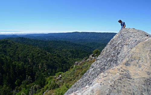A person stands on a rocky outcrop, overlooking a lush green valley and distant mountains under a clear blue sky.