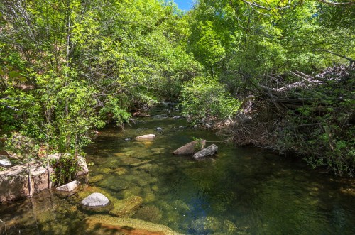A serene stream flows through a lush green forest, with rocks visible beneath the clear water.