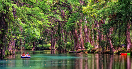 Two people in a small boat on a serene, green river surrounded by lush trees.