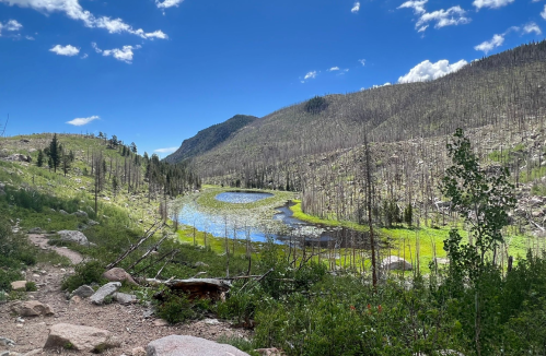 A serene landscape featuring a winding pond surrounded by green hills and a clear blue sky.