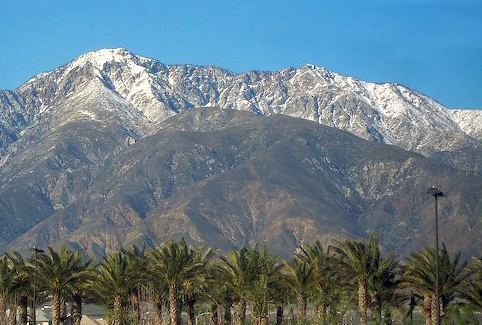 Snow-capped mountains rise above a landscape of palm trees under a clear blue sky.