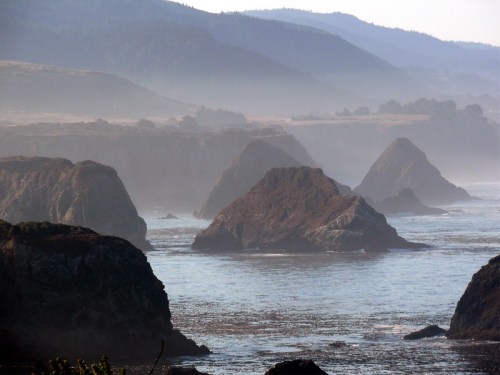 Misty coastal landscape with rocky formations and gentle waves, set against rolling hills in the background.