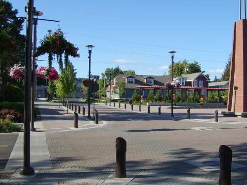 A sunny street scene featuring hanging flower baskets, trees, and modern buildings in a quiet neighborhood.