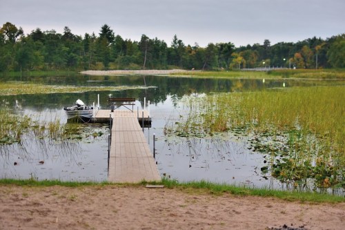 A wooden dock extends into a calm lake surrounded by lush greenery and tall grasses under a cloudy sky.