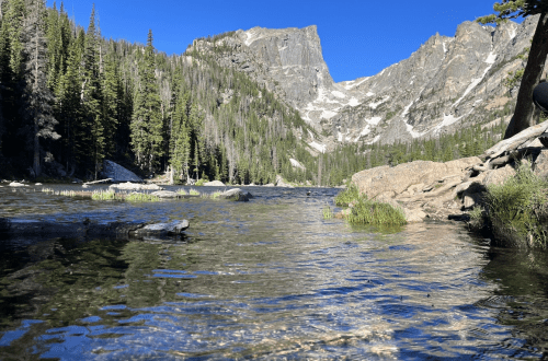 A clear river flows through a mountainous landscape, surrounded by tall pine trees and rocky terrain under a blue sky.