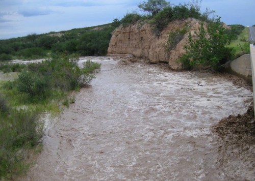 A river with muddy water flows past a rocky bank, surrounded by green vegetation under a cloudy sky.