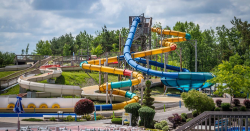 Colorful water slides twist and turn at a water park, surrounded by greenery and lounge chairs.