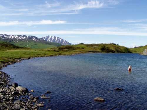 A serene lake surrounded by green hills and snow-capped mountains, with a person standing in the water.