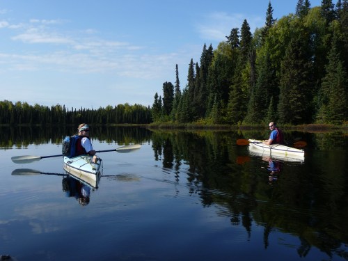 Two kayakers paddle on a calm lake surrounded by lush green trees under a clear blue sky.