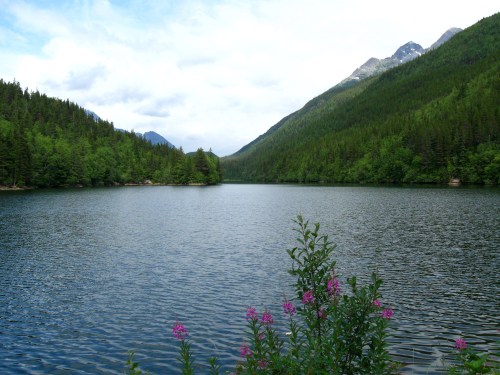 A serene lake surrounded by lush green forests and mountains, with pink flowers in the foreground.
