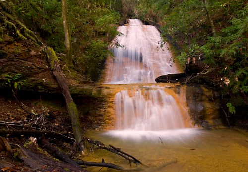 A serene waterfall cascades over rocks, surrounded by lush greenery and trees in a tranquil forest setting.