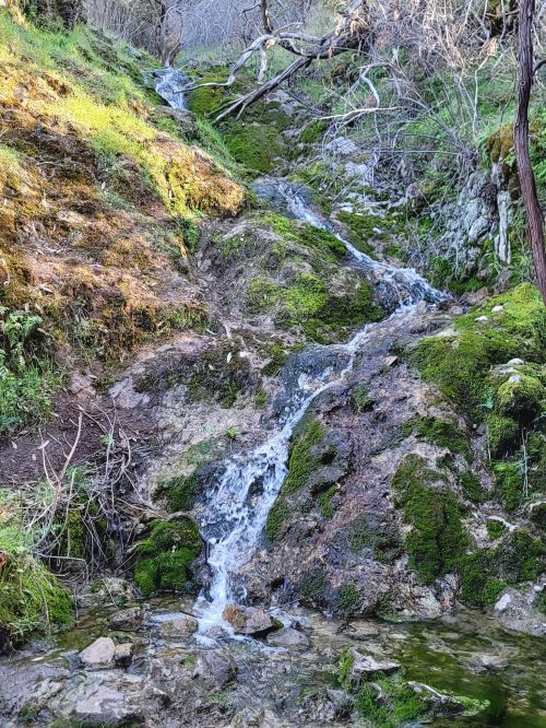 A serene stream flows over moss-covered rocks in a lush, green landscape.