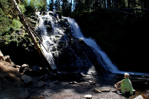 A person sits by a waterfall surrounded by trees, enjoying the serene natural landscape.