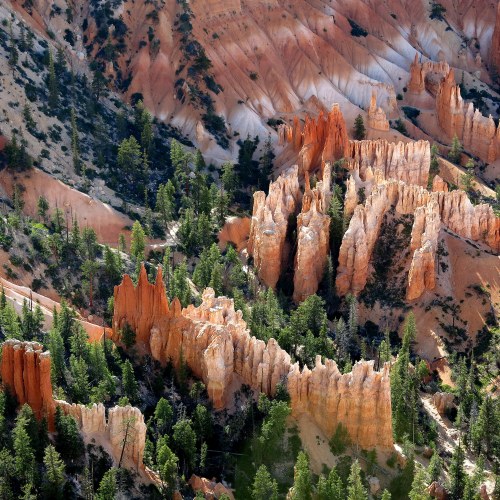 A stunning landscape of orange rock formations and green trees, showcasing the natural beauty of a canyon.
