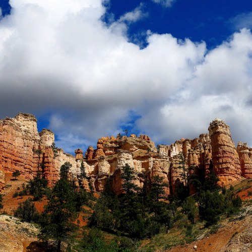 Rocky cliffs and pine trees under a blue sky with fluffy clouds in a scenic landscape.