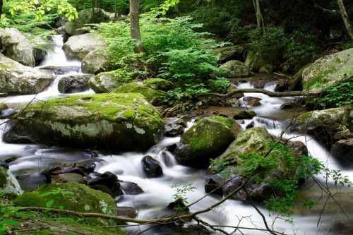 A serene stream flows over moss-covered rocks, surrounded by lush greenery in a tranquil forest setting.