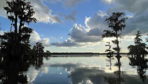 A serene lake scene with cypress trees, reflecting clouds and sunlight on the water's surface.